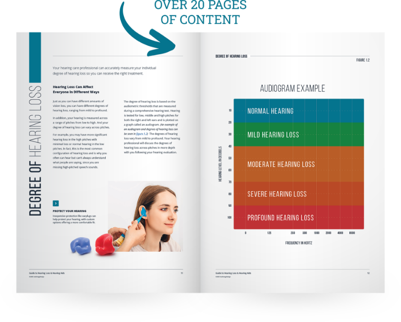 A visual of the contents of the guide and describing over 20 pages of information